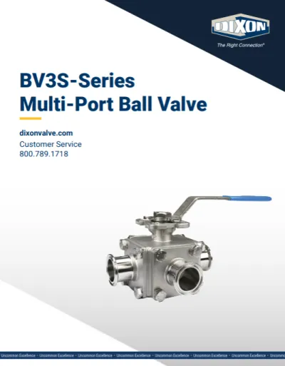 BV3S-Series Multi-Port Ball Valve