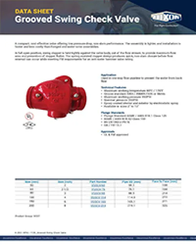 Grooved Swing Check Valve