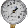 ABS Standard Dry Lower Mount Gauge