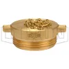 Brass Pin Lug Plug
